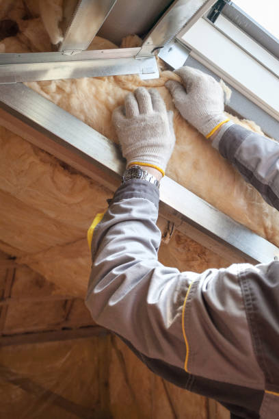 Best Cellulose Insulation in Mount Sterling, IL
