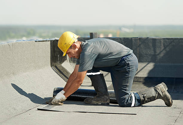 Best Specialized Insulation Services in Mount Sterling, IL