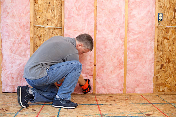 Best Eco-Friendly Insulation in Mount Sterling, IL