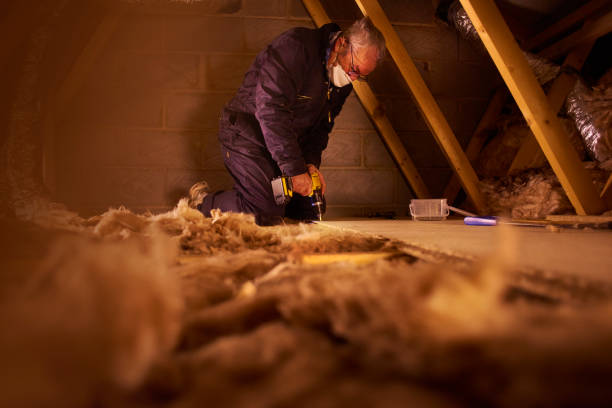 Best DIY Insulation Kits and Guidance in Mount Sterling, IL